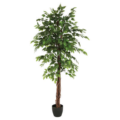 Factory cuadros- Arbol artificial ficus verde