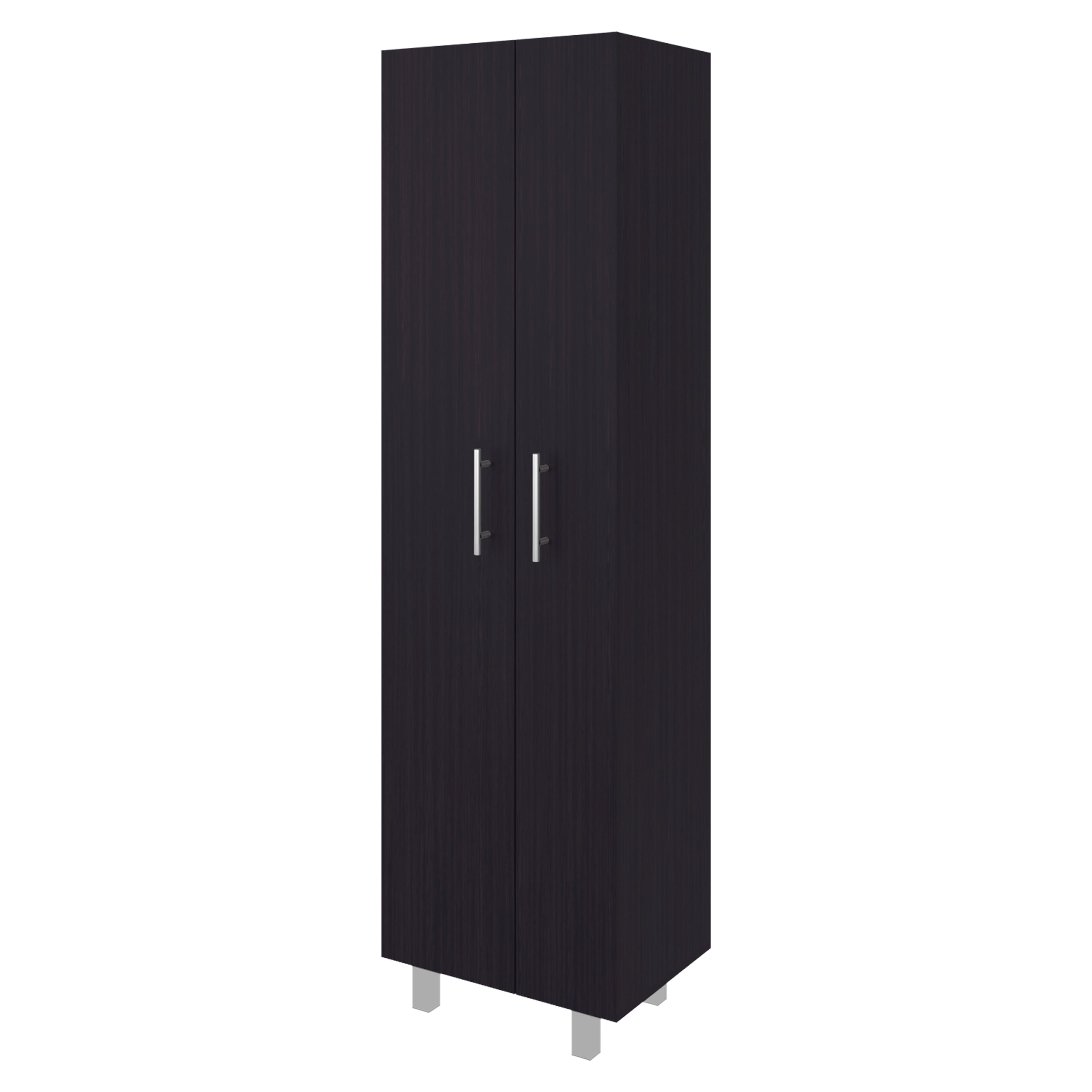 Olds gabinete de almacenamiento con estantes y puertas abatibles
