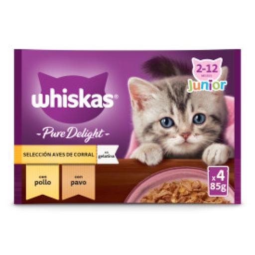 Whiskas Comida Húmeda Pure Delight Junior Selección de Pollo en Gelatina para Gatitos - 4x85 gr