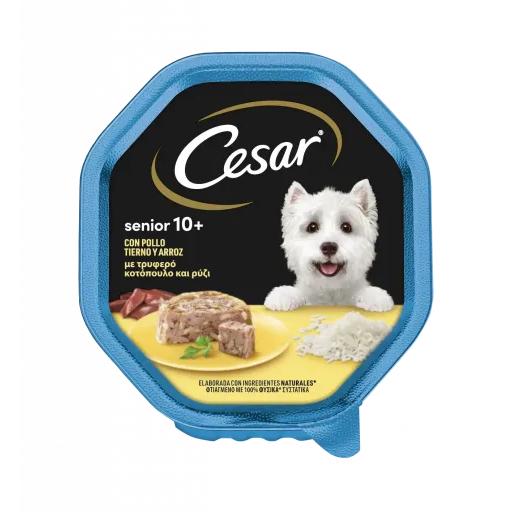 Cesar Comida Húmeda para Perros Senior en Paté con Pollo y Arroz Tarrina - 150 GR