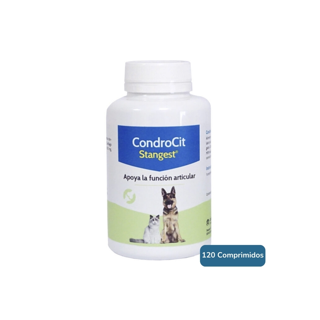 STANGEST - Condrocit - Alimento Complementario Condroprotector para la Salud Articular en Perros y Gatos