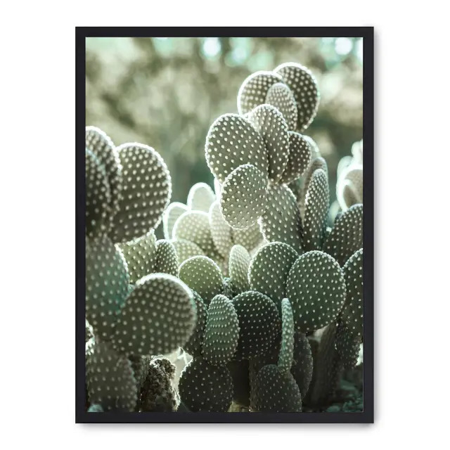 Cuadro cactus i 30x40cm, Póster impreso en papel de primera calidad de 180gr, montado sobre marco de madera MDF acabado en negro., Botánica - Naturaleza - Playantas