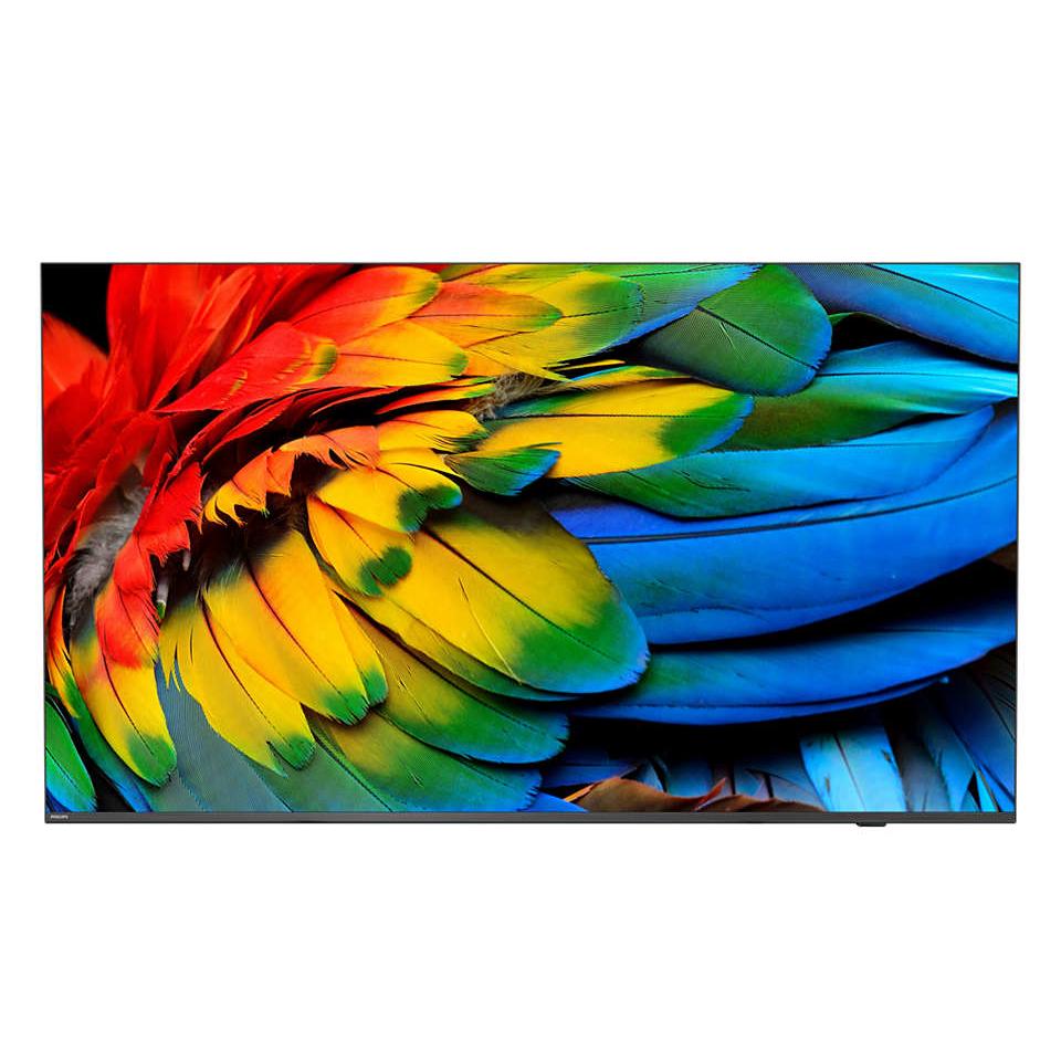 PHILIPS Hotel TV 50HFL6214U/12 126,0cm (50") MediaSuite [Energieklasse F] (50HFL6214U/12)