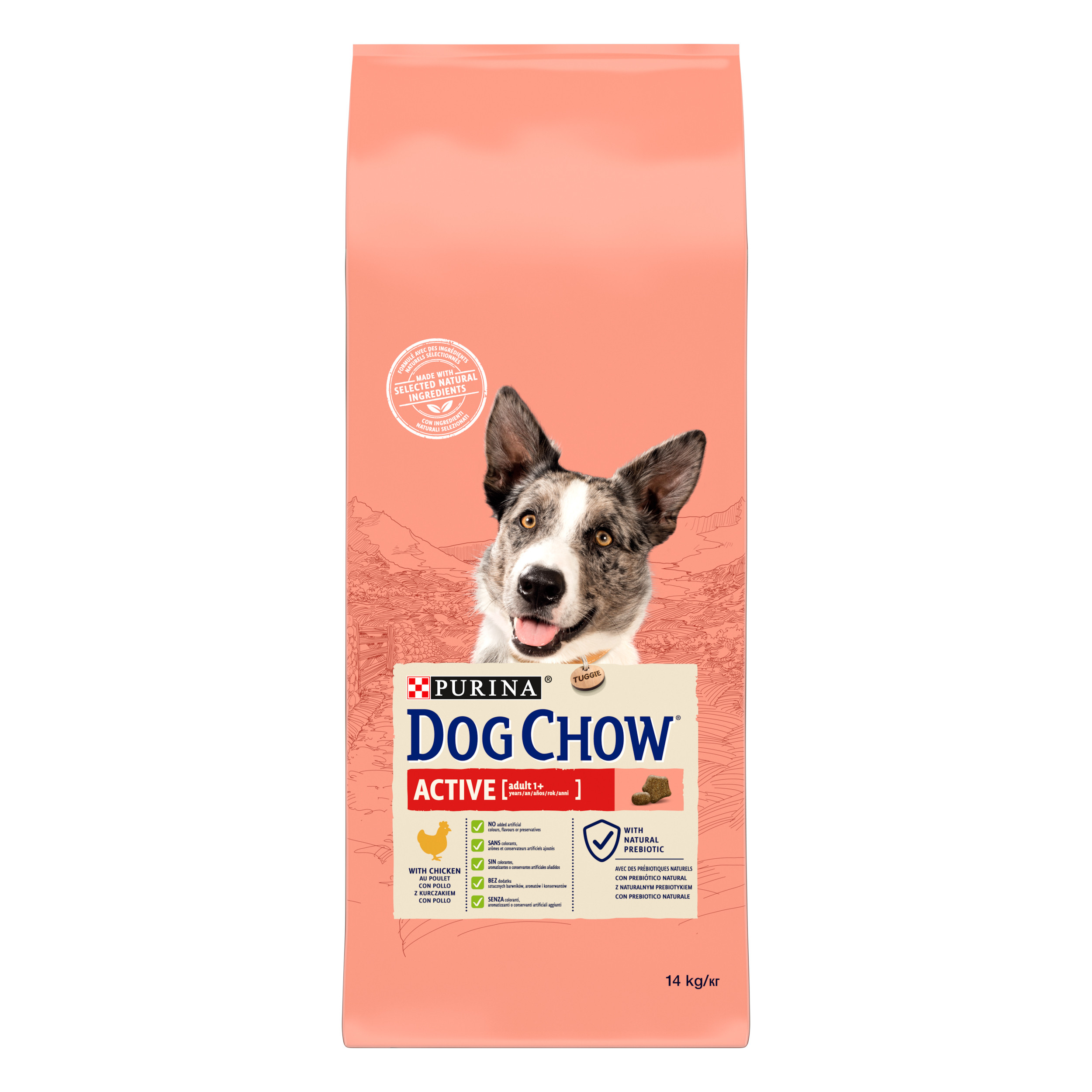 Dog Chow Active Pollo Pienso para Perros  Pienso completo para perros adultos activos