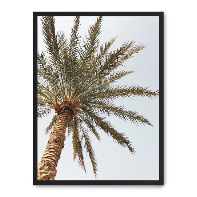 Cuadro palm beach ii 30x40cm, Póster impreso en papel de primera calidad de 180gr, montado sobre marco de madera MDF acabado en negro., Botánica - Palmeras