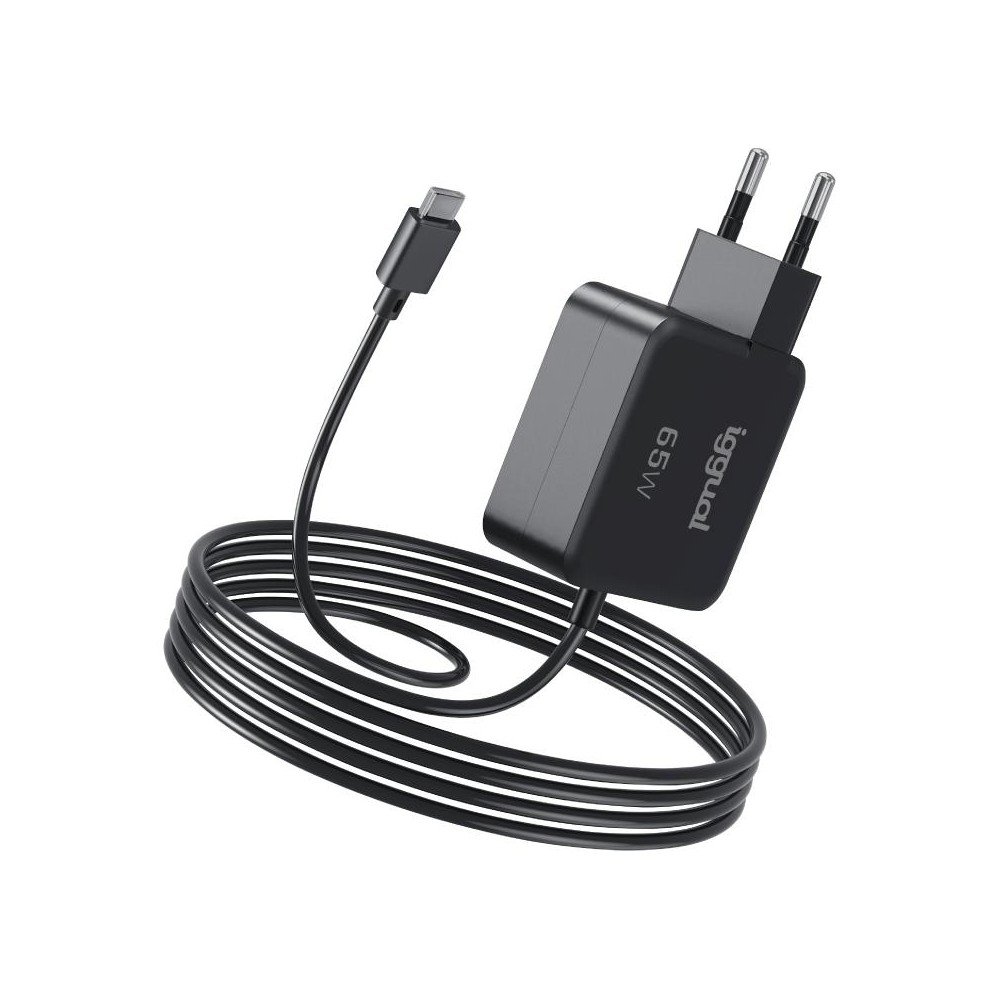 iggual Cargador portátil y móvil tipo C PD 65W