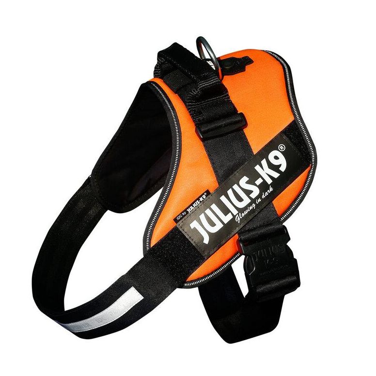 Arnés Julius K9 IDC para Perros - Diseño Ergonómico y Deportivo