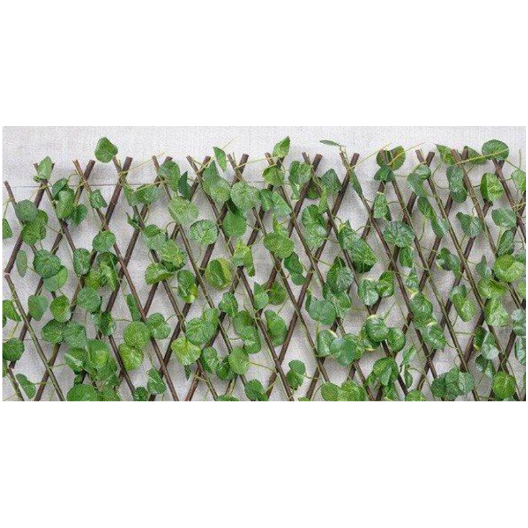 Celosía Extensible de Mimbre Decorativa 1x2m | Enrejado para Privacidad en Jardín