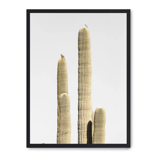 Cuadro cactus saguaro ii 30x40cm, Póster impreso en papel de primera calidad de 180gr, montado sobre marco de madera MDF acabado en negro., Naturaleza - Desierto