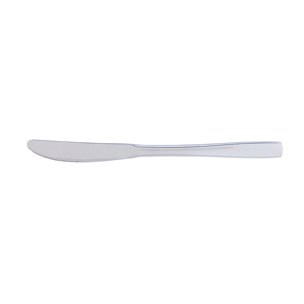 QUID INOX HOTEL Caja 12 Cuchillos Mesa Cuchillo Mesa 21,4CM Acero Brillo Fácil de limpiar Ecológico
