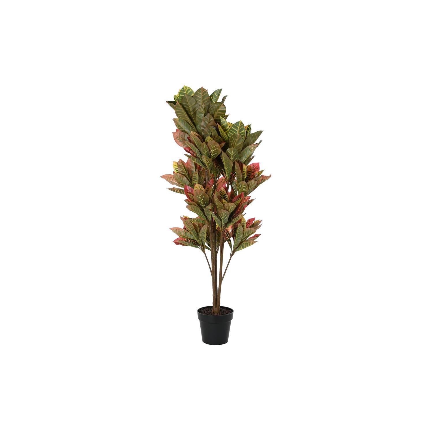 Planta Pe 50X50X140 Croton Verde El mejor complemento para tu hogar -Fijalo-