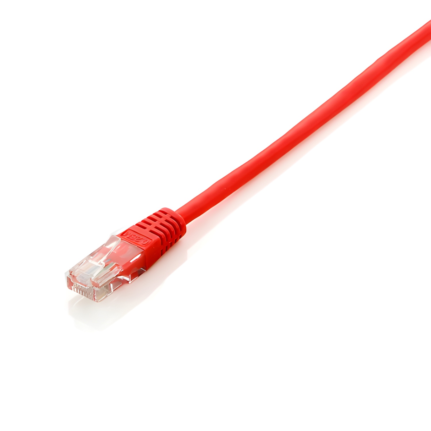 Equip Cable de Red UTP Cat. 6 0.25m Rojo