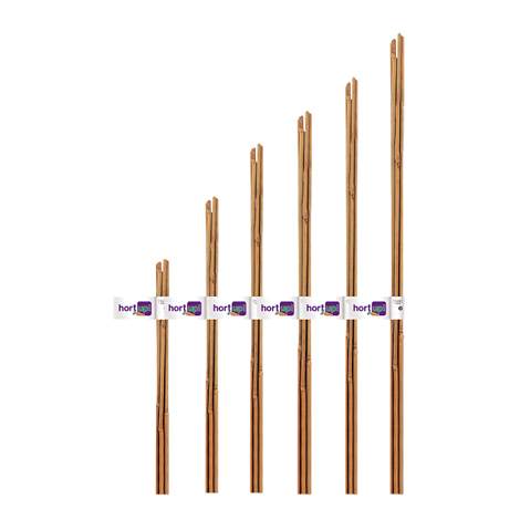 FLOWER HORT UP Tutor Bambú Natural, Ø 10-12 mm, 1,50 m, Pack 2 Uds