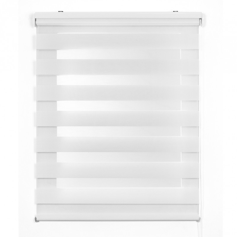 STORESDECO Estor Enrollable Noche y Día Premium con Doble Tejido, Estor con Galeria y Cadeneta de Aluminio de Alta Calidad para Salón Comedor Dormitorio