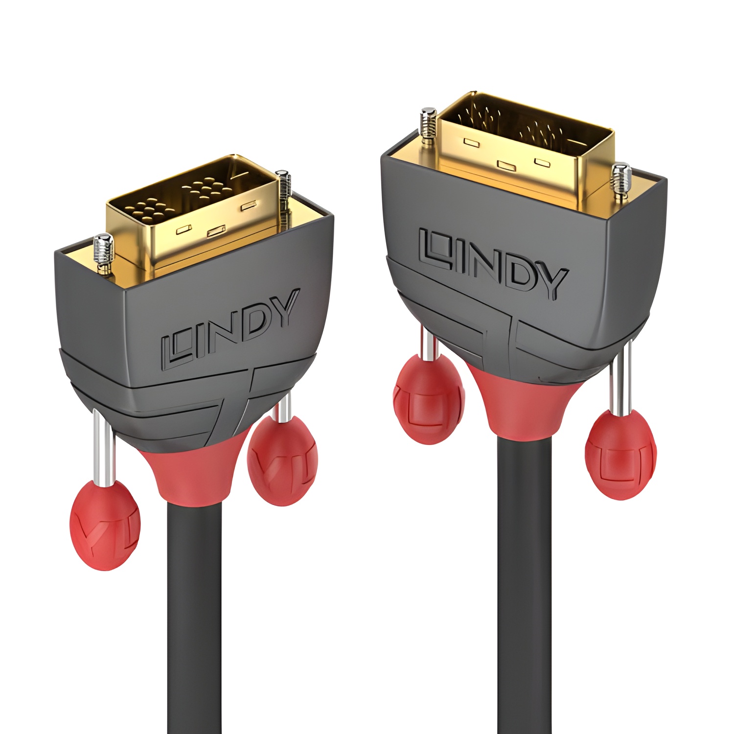 LINDY Cable de conexión DVI 15 m 36241 negro [1 conector DVI de 18 + 1 polo. - 1 conector DVI de 18 + 1 pol.]