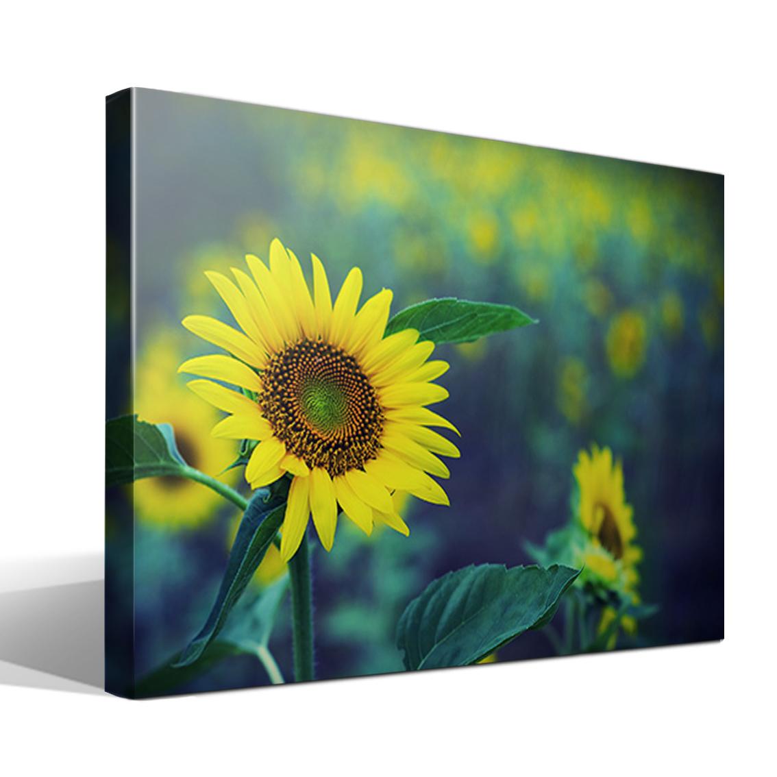 Cuadro Canvas Girasol - Alta Resolución - Lienzo 100% Algodón - Bastidor Madera - Fabricado en España