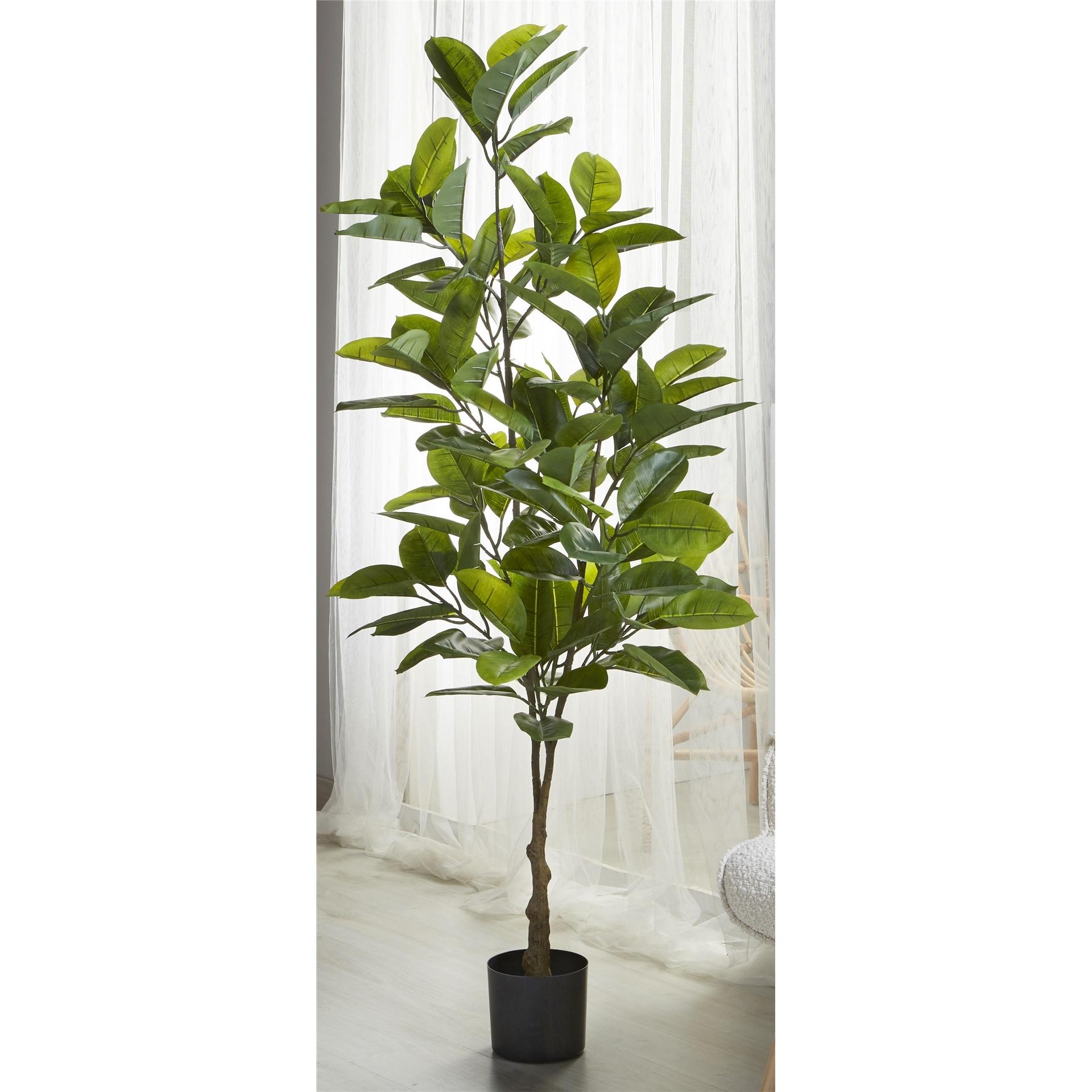 Planta ficus 170 cms. 170 cms. El mejor complemento para tu hogar lo encontrarás aquí.