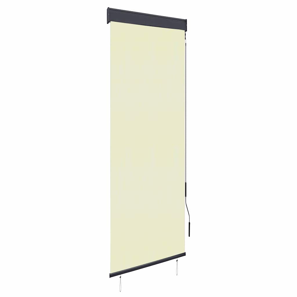 vidaXL Estor enrollable de exterior 60x250 cm