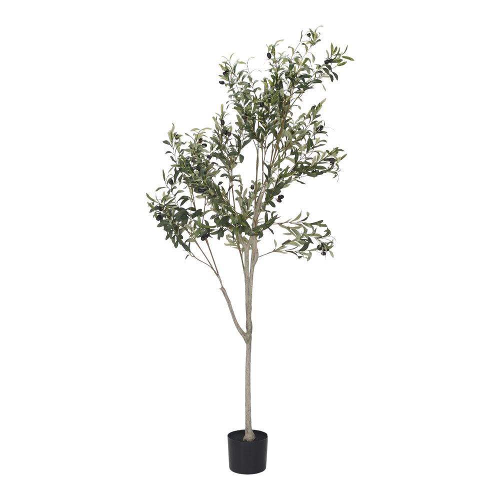 PLANTA ARTIFICIAL OLIVO - MISTERWILS FURNITURE FOR FREE SOULS