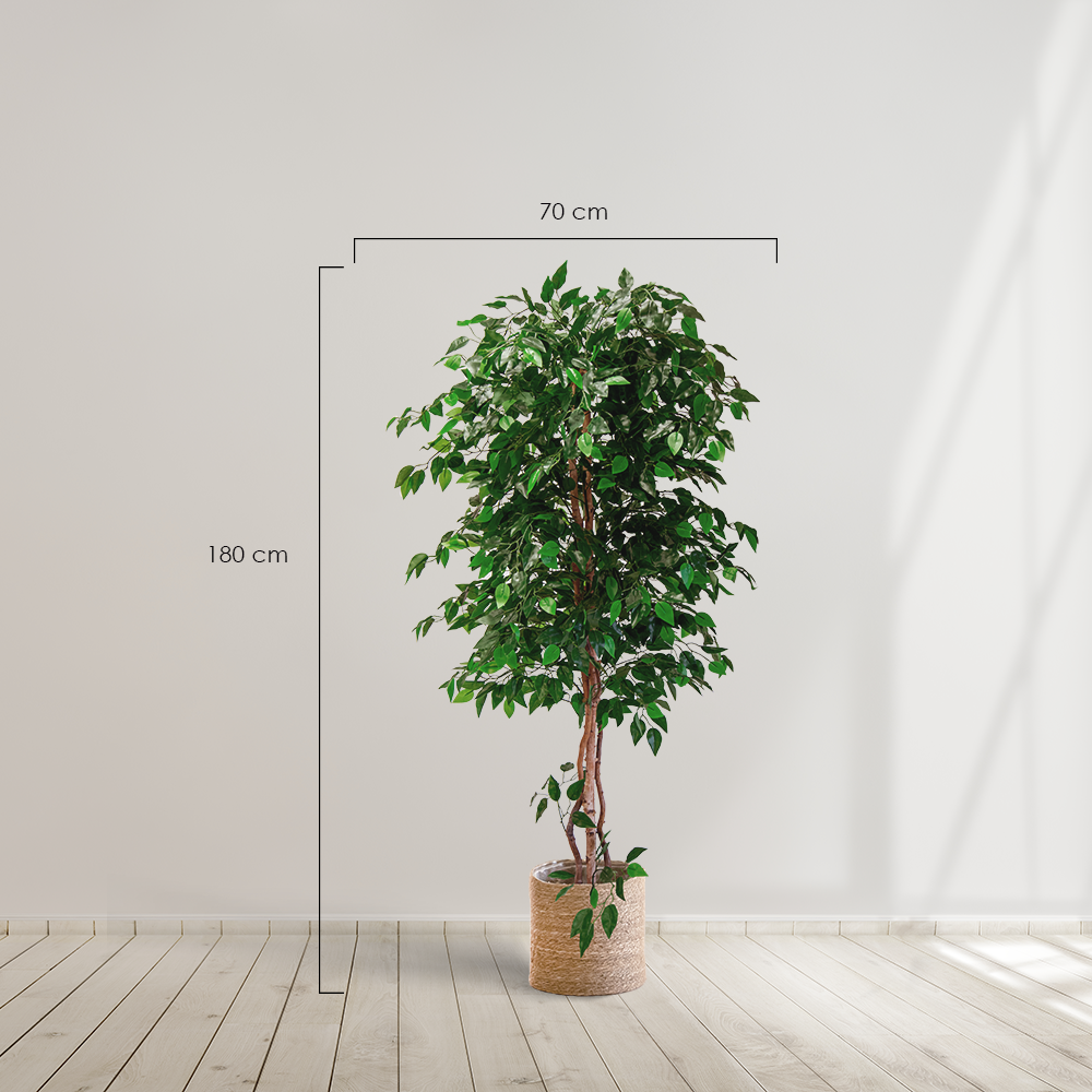 Planta artificial MAIA SHOP Ficus  Artificial árbol. Decoración hogar. Decoración oficina, hoteles, eventos, bodas. Disponible en varios tamaños: Altura de 105 cm, 150 cm, 180 cm y 190 cm