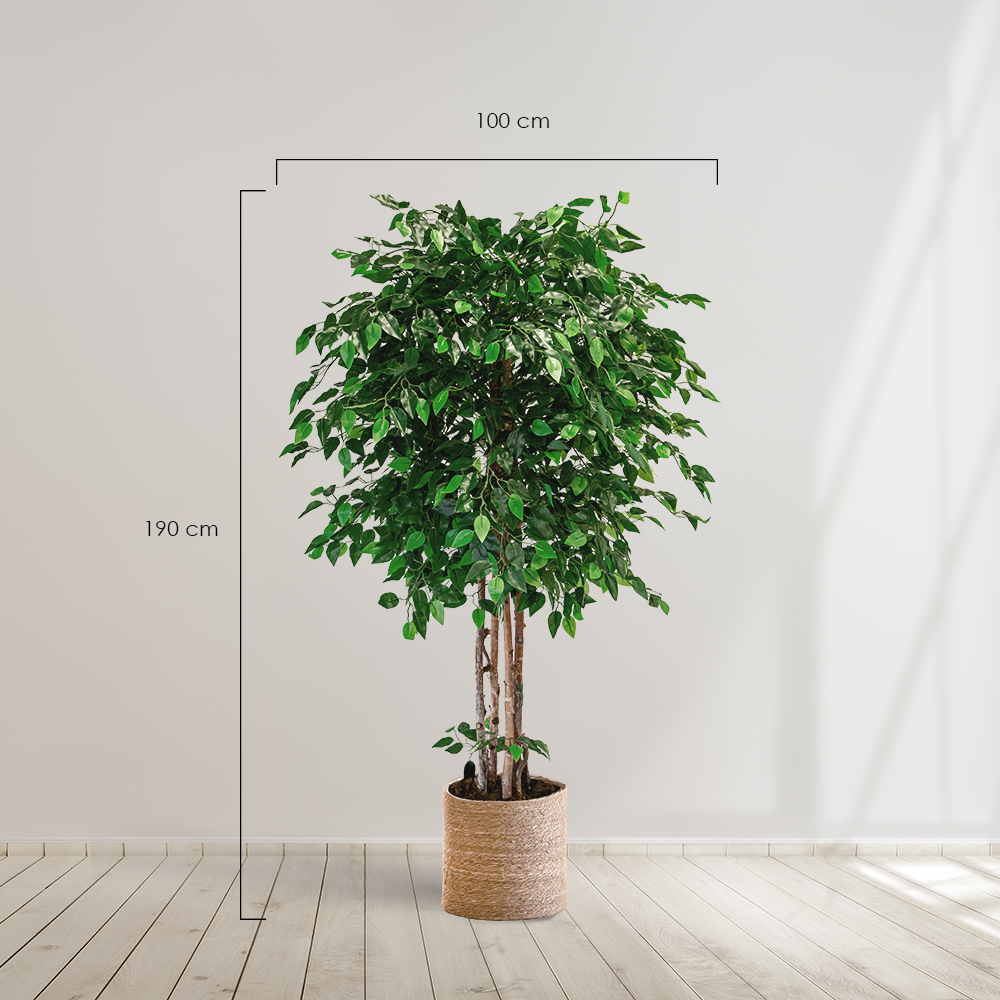 Planta artificial MAIA SHOP Ficus  Artificial árbol. Decoración hogar. Decoración oficina, hoteles, eventos, bodas. Disponible en varios tamaños: Altura de 105 cm, 150 cm, 180 cm y 190 cm