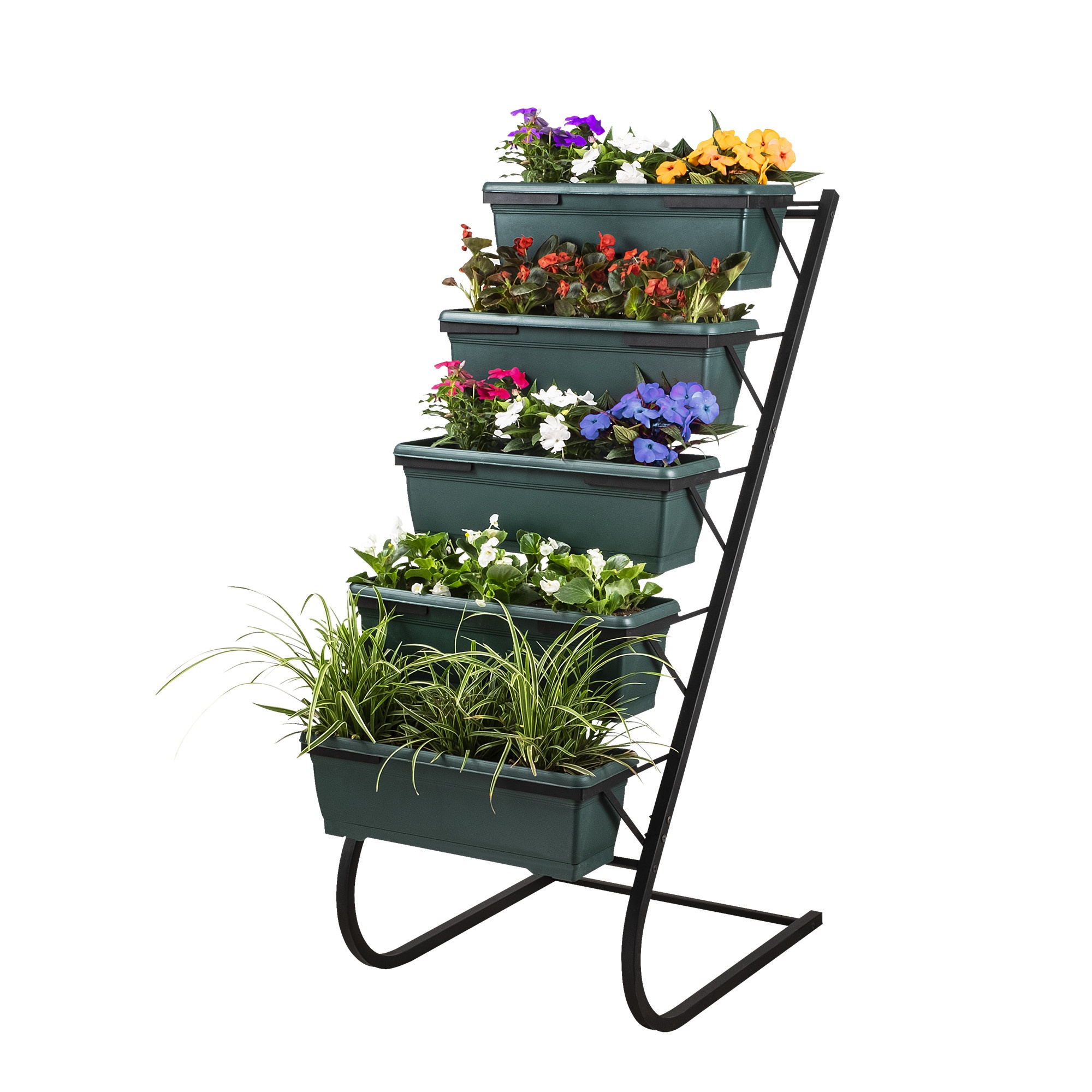 Display para plantas