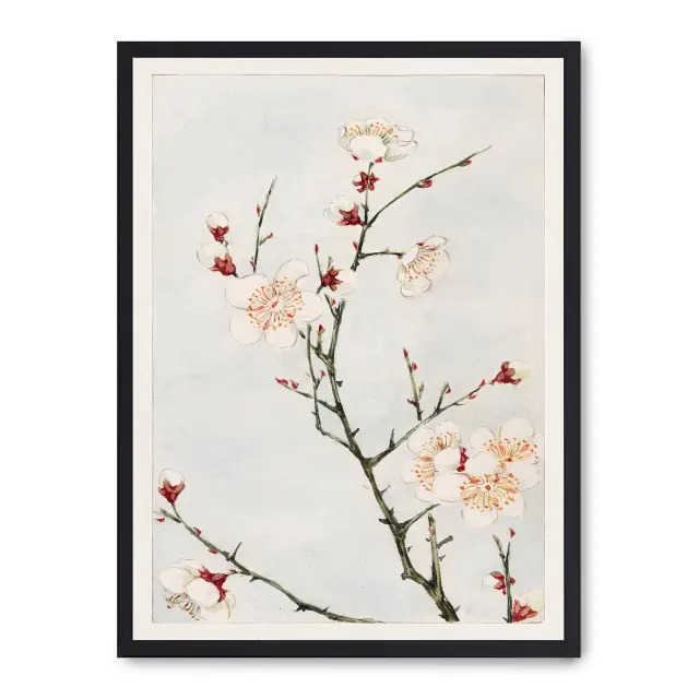 Cuadro blossoming beauty 30x40cm, Póster impreso en papel de primera calidad de 180gr, montado sobre marco de madera MDF acabado en negro., Arte - Japonés