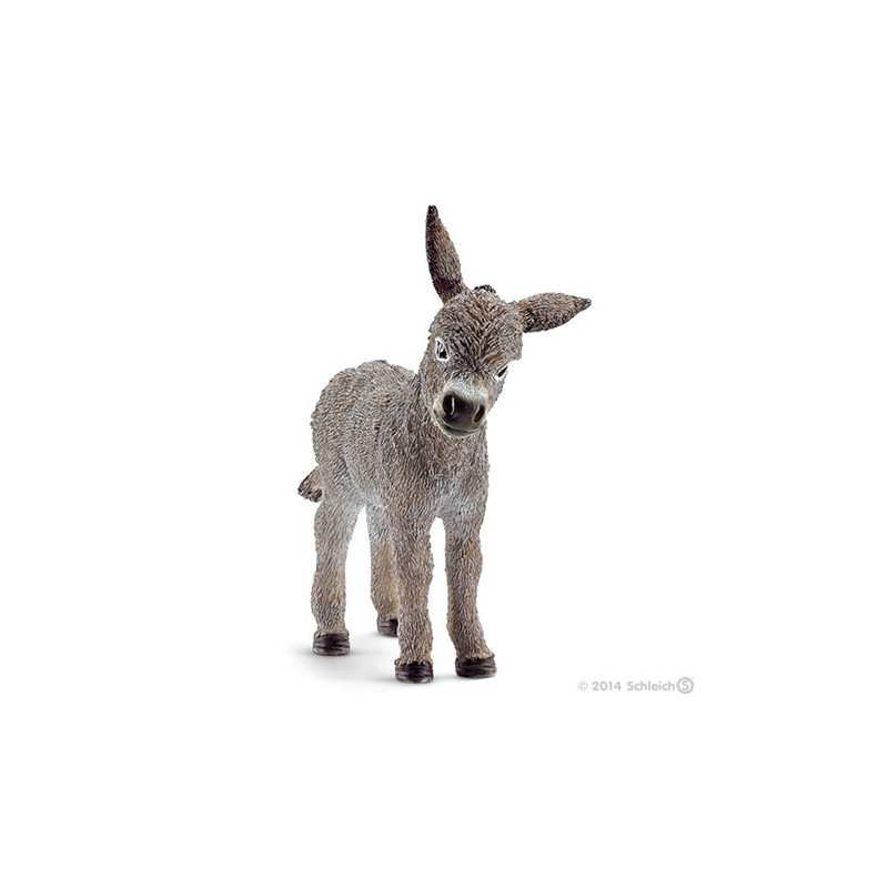 Borriquillo