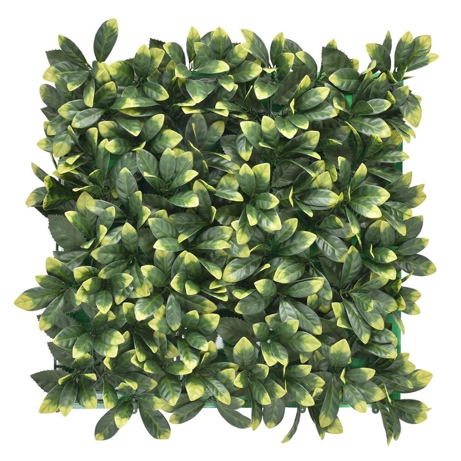 BONERVA  JARDÍN VERTICAL LAUREL (1M2)  Decoración De Jardín