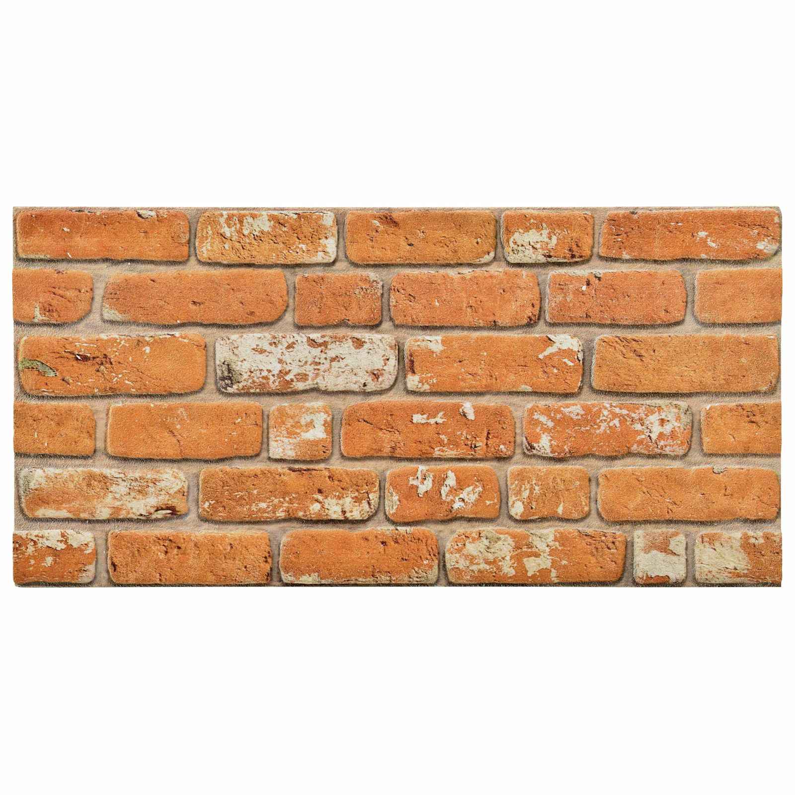 vidaXL Paneles de pared 10 pcs 100 x 50 cm Espuma EPS Multicolor