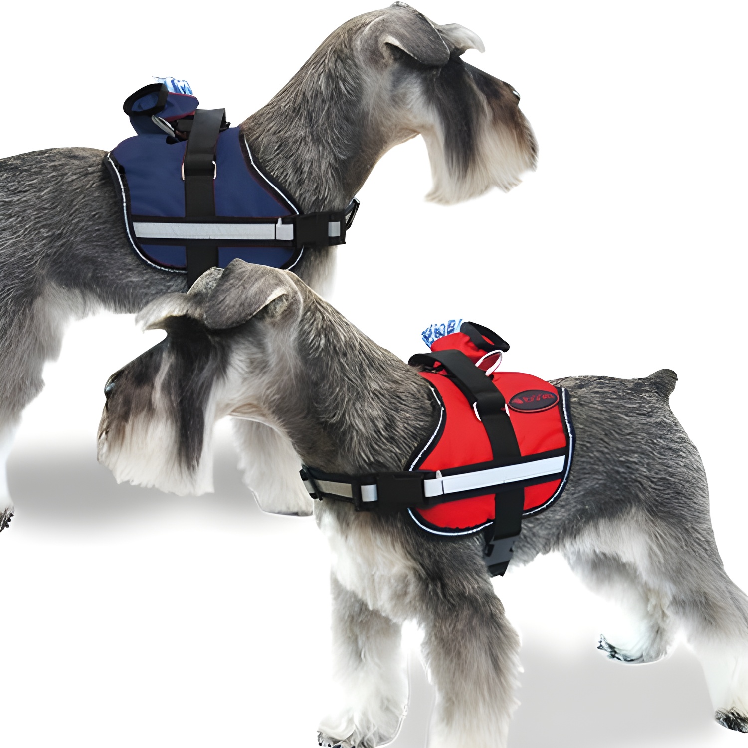 Arnés Deportivo Resistente para Perros Medianos y Grandes Ibañez Azul XXL