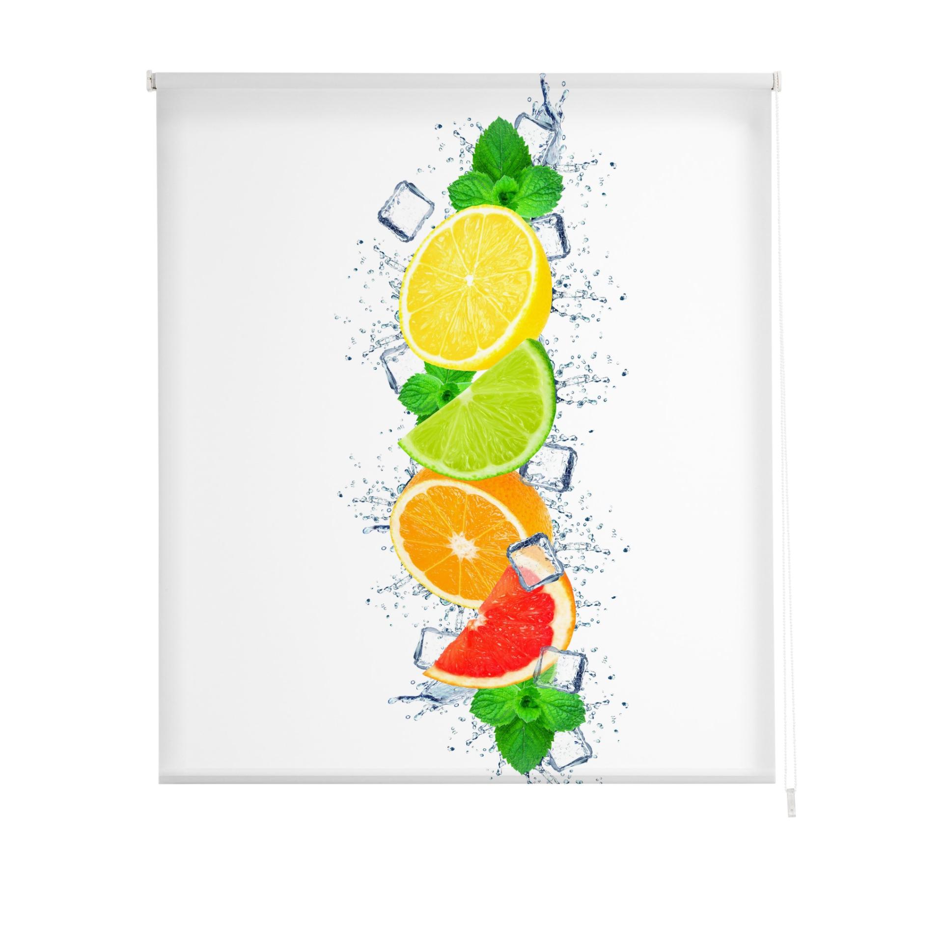ESTORALIS | Estor Enrollable Translúcido Estampado COCINA | Estor para Ventanas y Puertas | Estor Translúcido Fácil Instalación Pared o Techo | ! Envíos a domicilio Gratis ¡