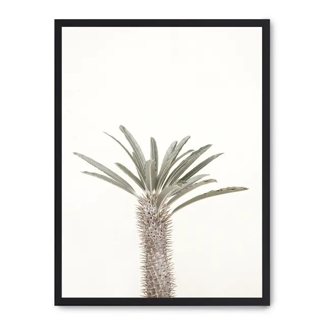 Cuadro palm desert 30x40cm, Póster impreso en papel de primera calidad de 180gr, montado sobre marco de madera MDF acabado en negro., Botánica - Palmeras
