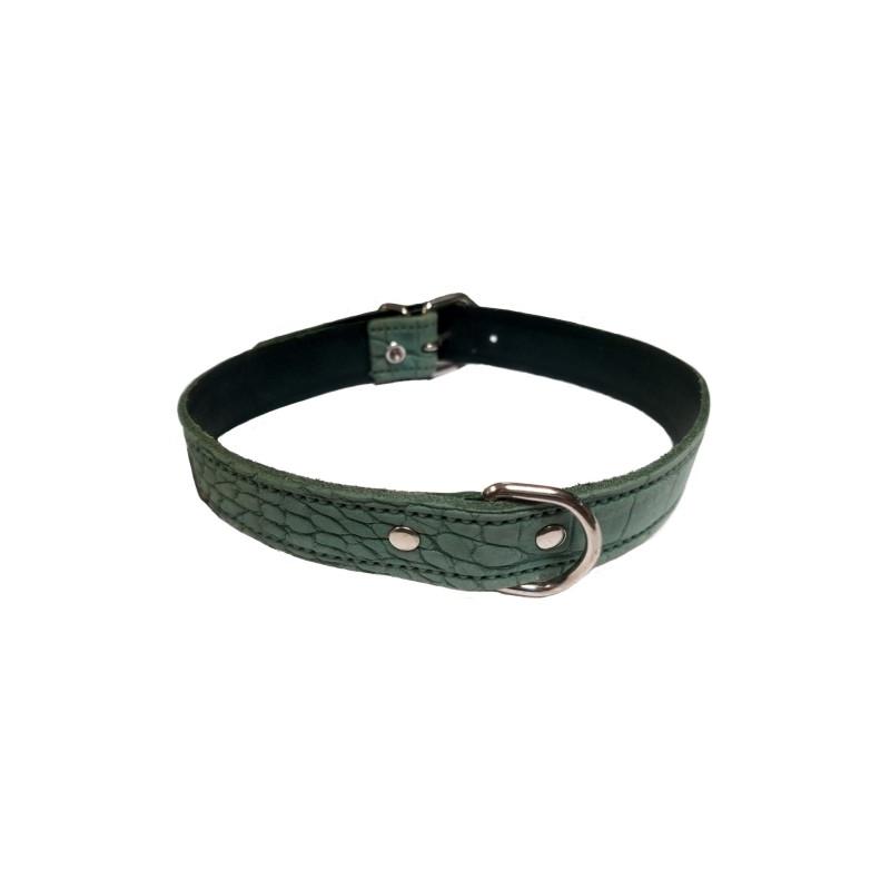 Collar Piel Labrada 25X550Mm.Verde Raza Mediana.