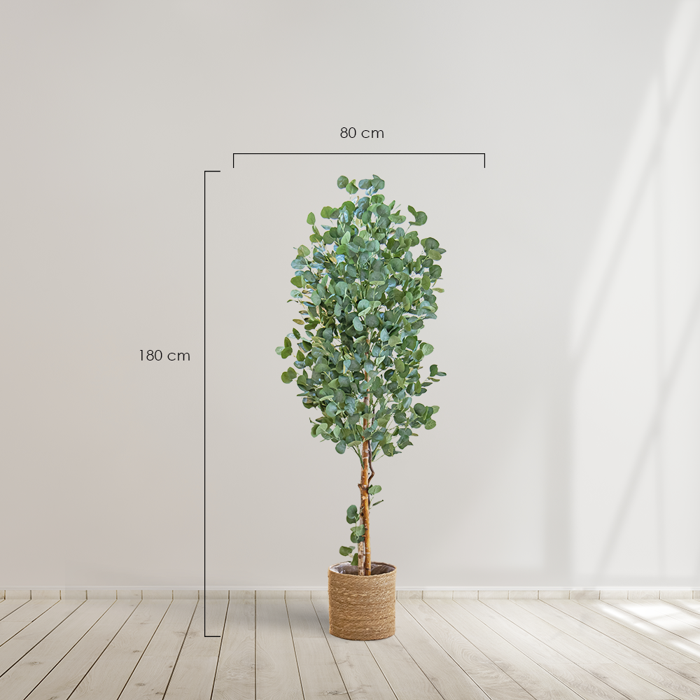 Planta artificial MAIA SHOP Eucalipto Artificial árbol. Decoración hogar. Decoración oficina, hoteles, eventos, bodas. Disponible en varios tamaños: Altura de 105 cm, 150 cm y 180 cm