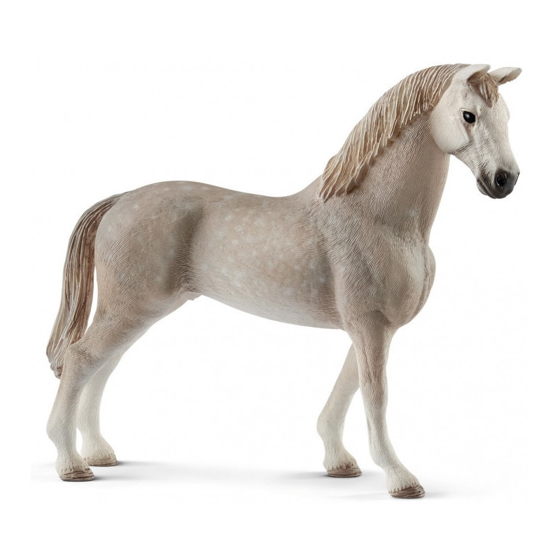 Holsteiner Schleich - Caballo Deporte Antiguo Alemania - Criado Siglo XIV - Uetersen - Schleswig-Holstein