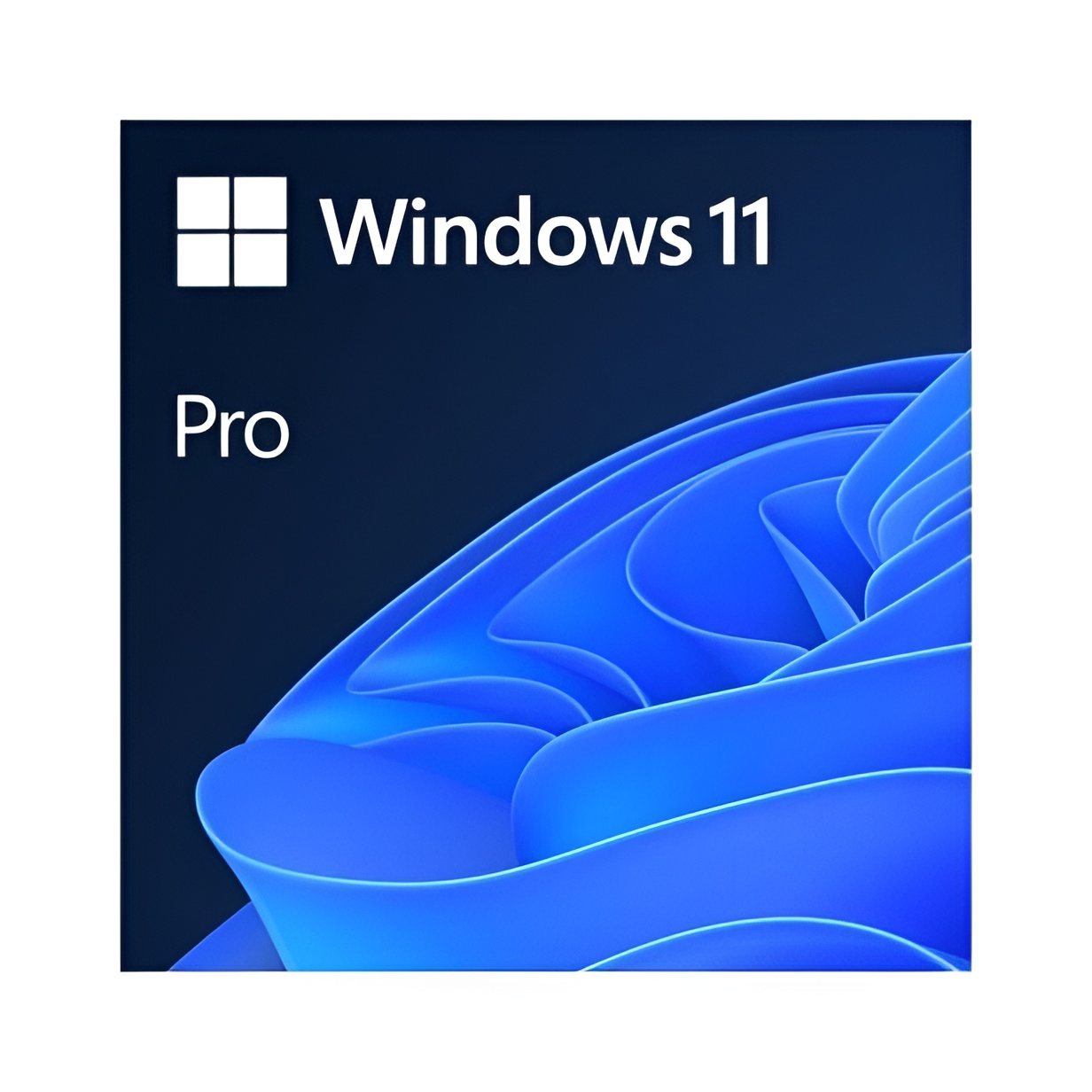 Windows 11 Professional 64 Bits Polaco DVD OEM