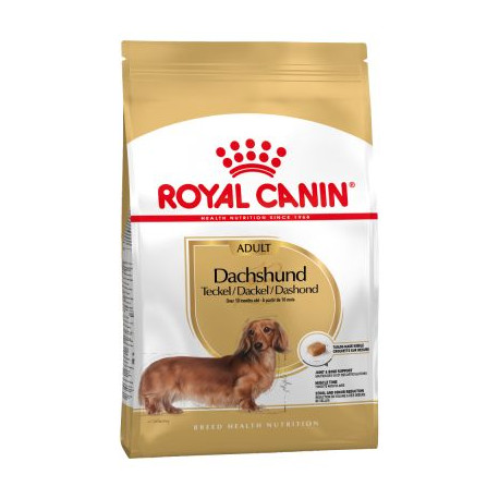 Royal Canin Mini DACHSHUND Teckel Royal Canin