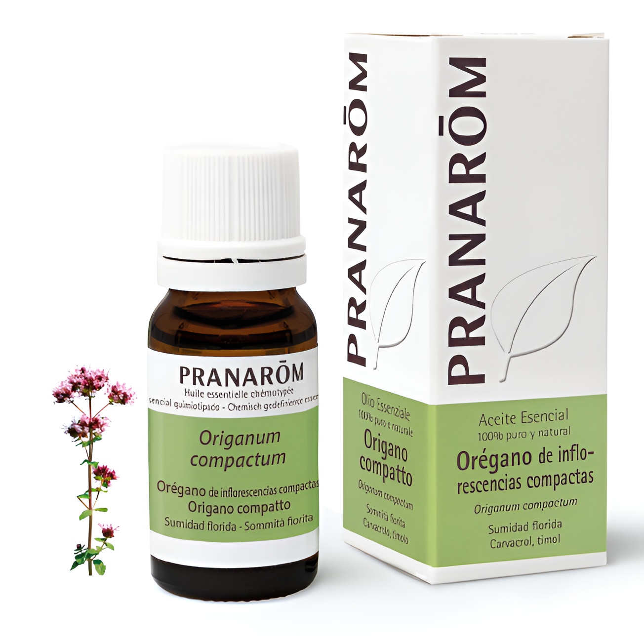 Aceite esencial orégano de inflorescencias compactas 10 ml de aceite esencial Pranarom