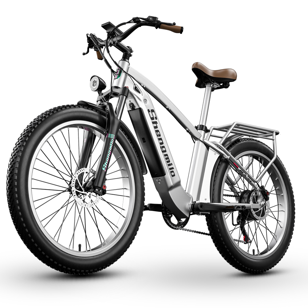 Bicicleta Eléctrica Para Adultos Con Batería Removible De 48v 10