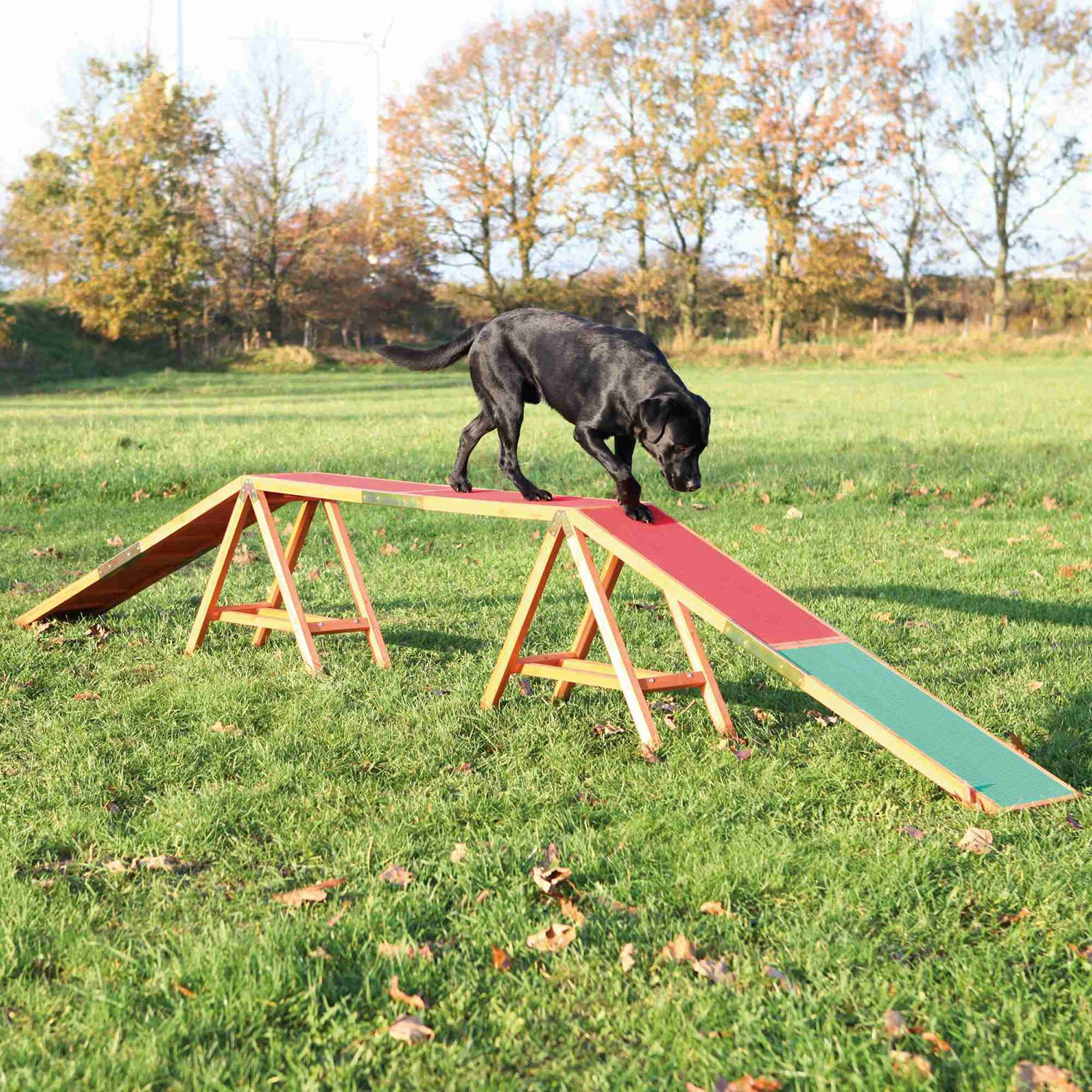TRIXIE Pasarela para Agility