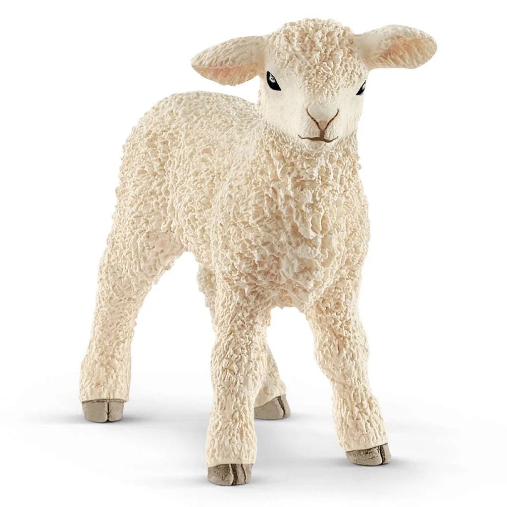 Animales Para Niños De 3 + Años Schleich Figura Cordero