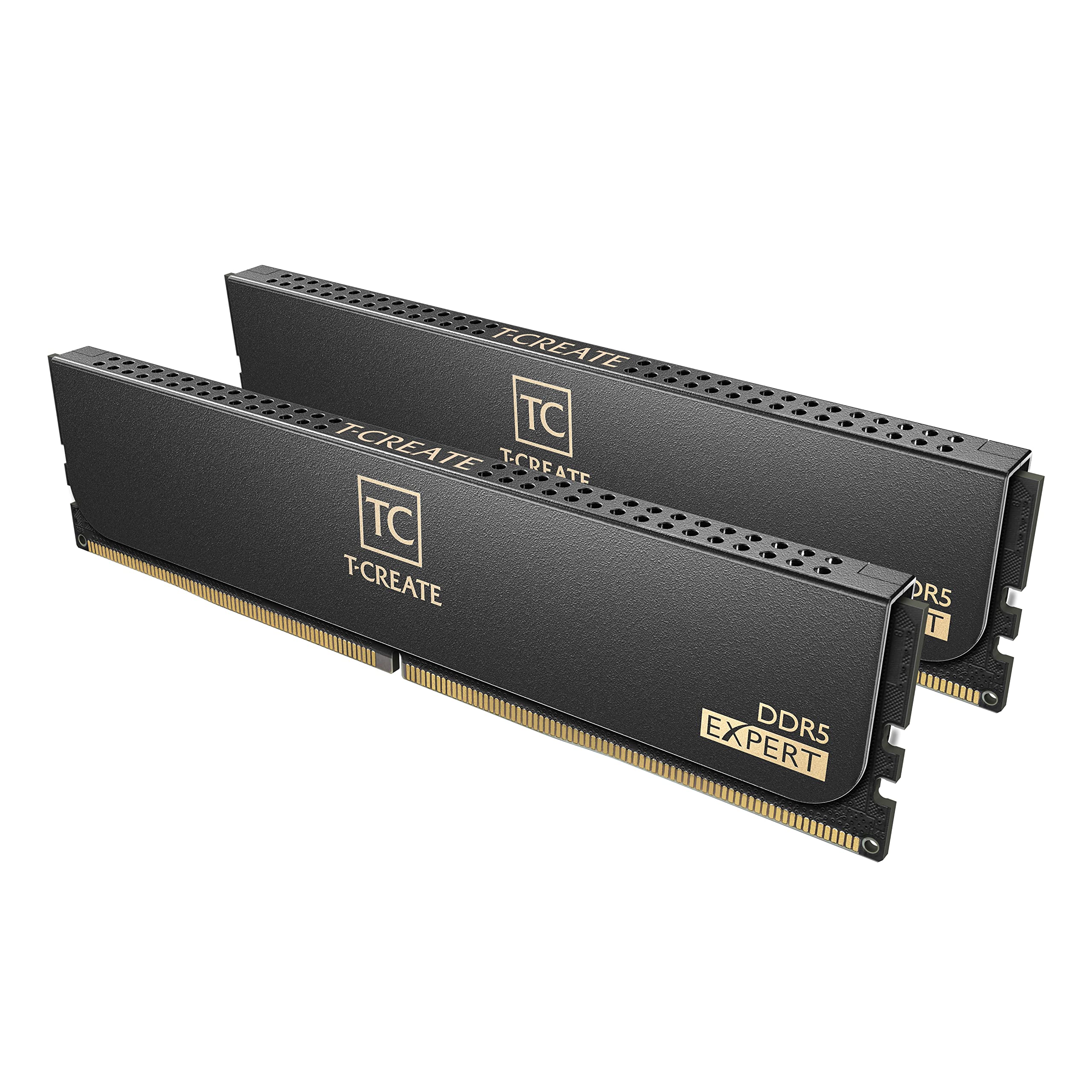 TEAMGROUP T-Create Expert CL30 - Kit de overclocking 10L DDR5 de 32 GB (2 x 16 GB) 6000 MHz (PC5-48000) Intel XMP 3.0 y AMD Expo compatible con módulo de memoria RAM negro - CTCED532G6000HC30DC01
