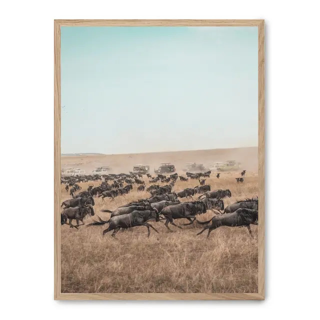 Cuadro wildebeest stampede 30x40cm, Póster impreso en papel de primera calidad de 180gr, montado sobre marco de madera MDF acabado roble., Naturaleza - Safari