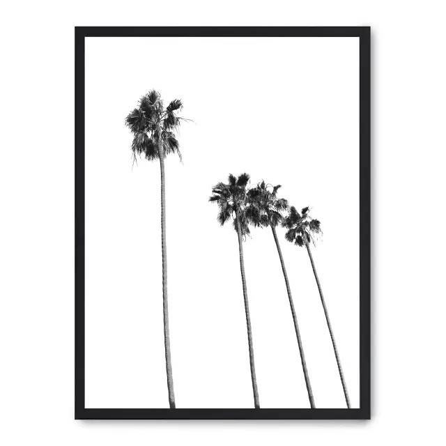 Cuadro palm tree line up ii 30x40cm, Póster impreso en papel de primera calidad de 180gr, montado sobre marco de madera MDF acabado en negro., Botánica - Palmeras