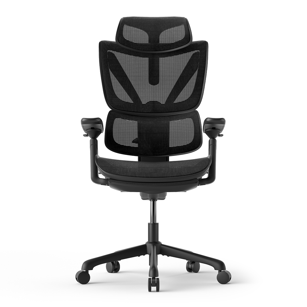 ACGAM Silla de Oficina, Silla de Escritorio de Malla, Silla Giratoria Ergonómica, Soporte Lumbar, Oscilante, Asiento de 53 cm, Apoyabrazos Abatibles, Negro