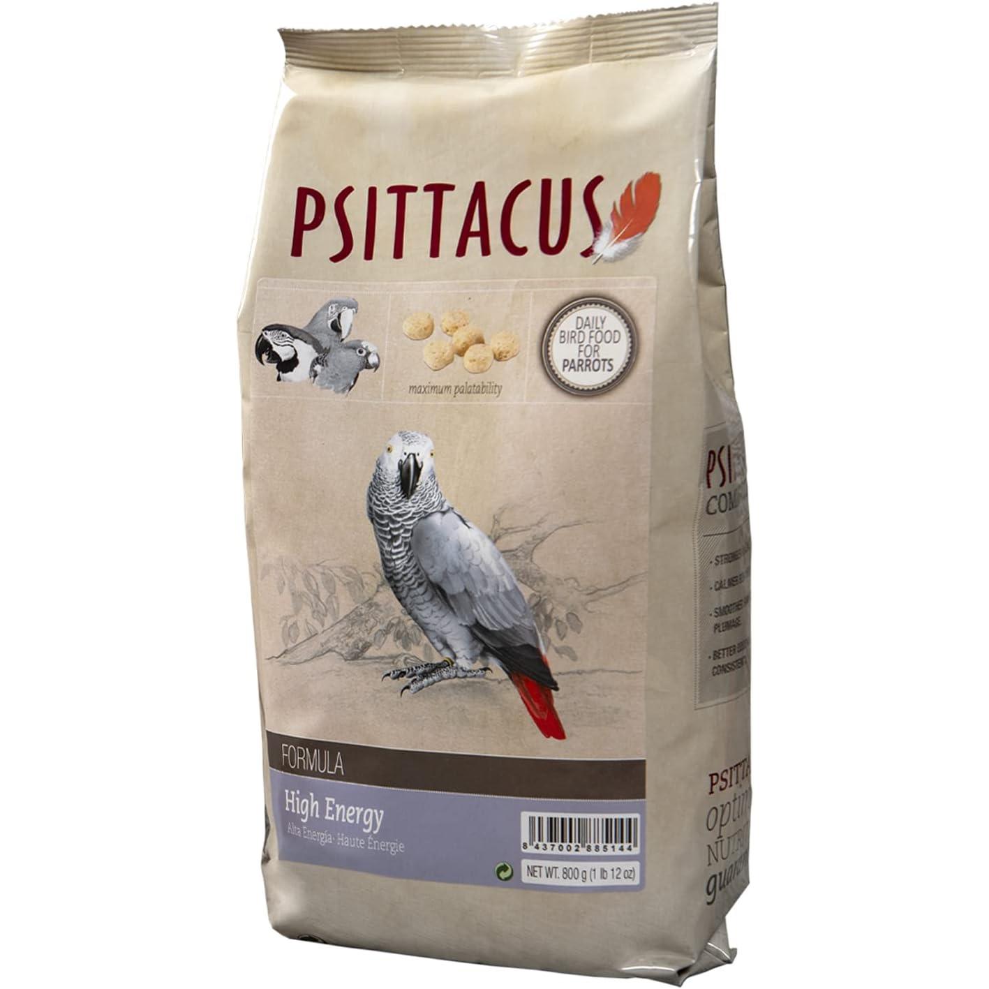 Psittacus - 