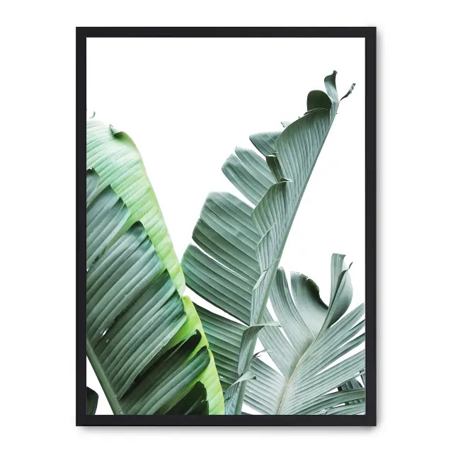 Cuadro banana leaves ii 30x40cm, Póster impreso en papel de primera calidad de 180gr, montado sobre marco de madera MDF acabado en negro., Botánica - Palmeras
