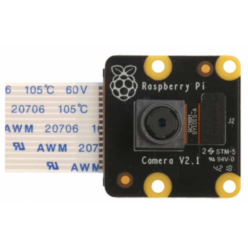Raspberry Pi Pinoir Camera Module V2.1 Cámara Multicolor