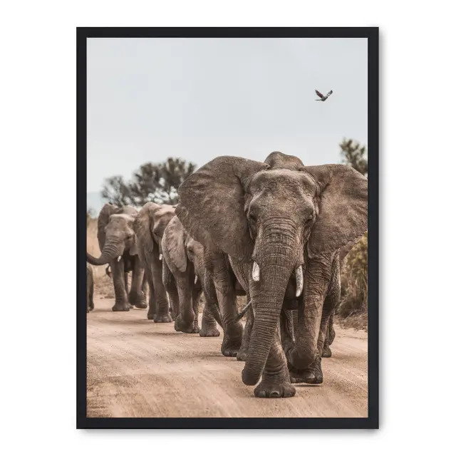 Cuadro elephant herd ii 30x40cm, Póster impreso en papel de primera calidad de 180gr, montado sobre marco de madera MDF acabado en negro., Naturaleza - Safari